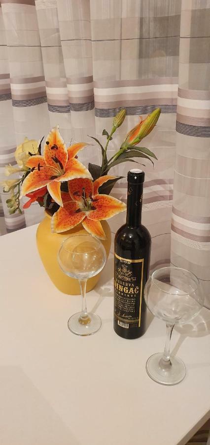 Sinkovic Apartment *